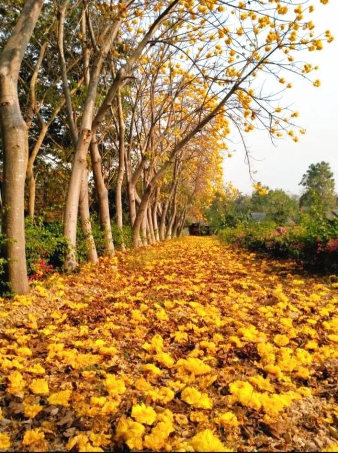 Denchai City Resort เด่นชัยซิตี้ รีสอร์ท Phrae Εξωτερικό φωτογραφία